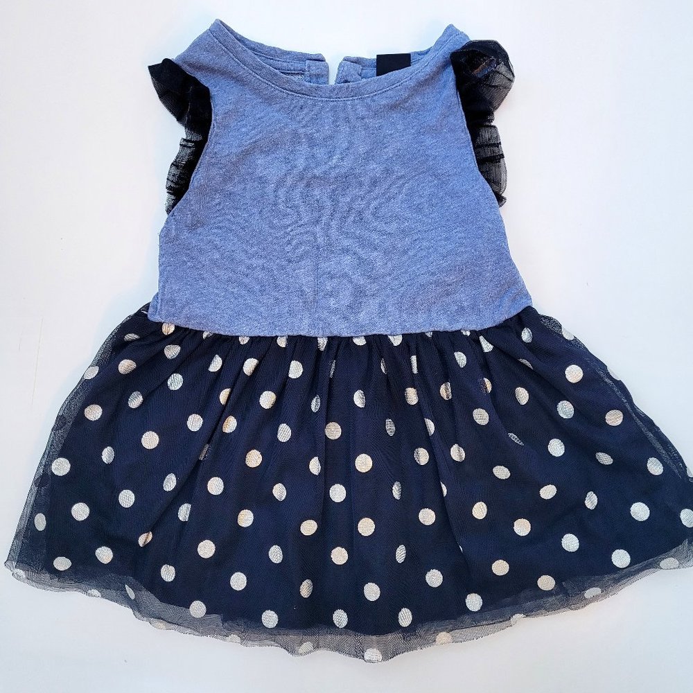 Baby Gap Mixed Media Tulle Dress Sz 2T